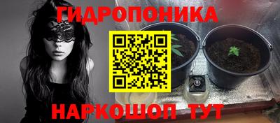 тгк Абинск
