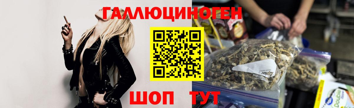 Галлюциногенные грибы Magic Shrooms  Галлюциногенные грибы GOLDEN TEACHER  Алушта  Вход с VPN 